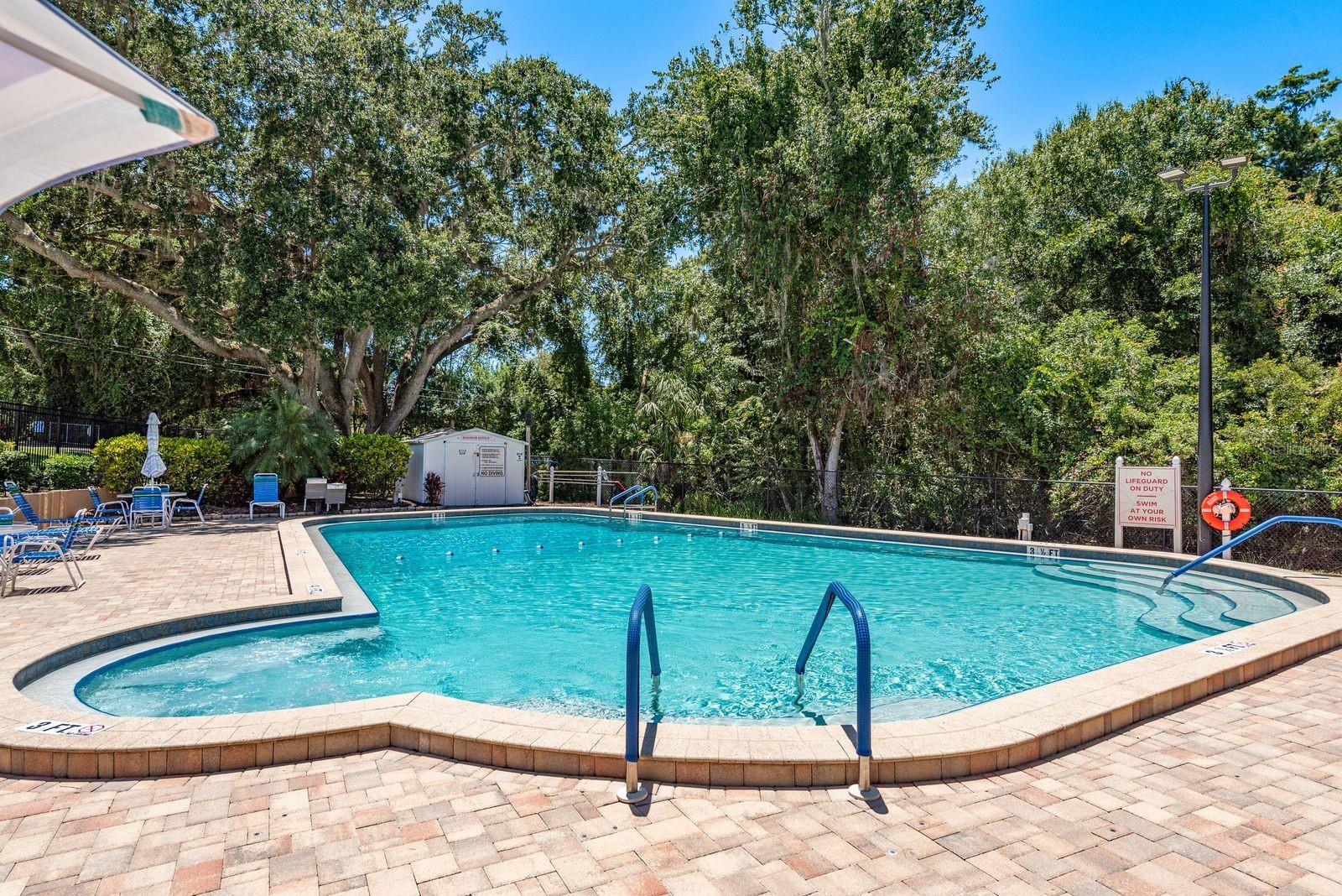 3127 MISSION GROVE DR #3127, PALM HARBOR, FL — photo 41