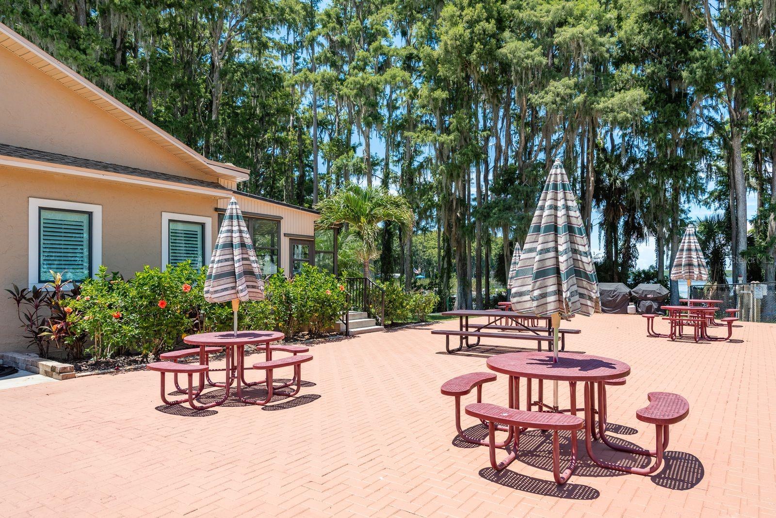 3127 MISSION GROVE DR #3127, PALM HARBOR, FL — photo 43