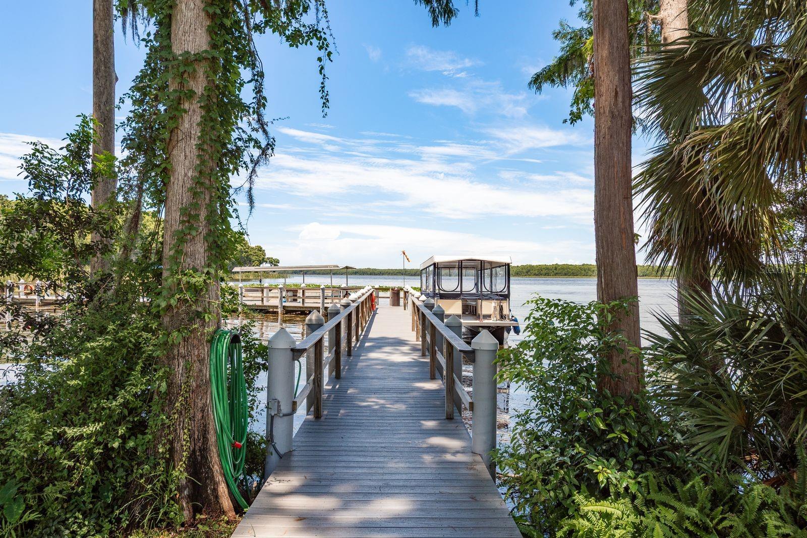3127 MISSION GROVE DR #3127, PALM HARBOR, FL — photo 44