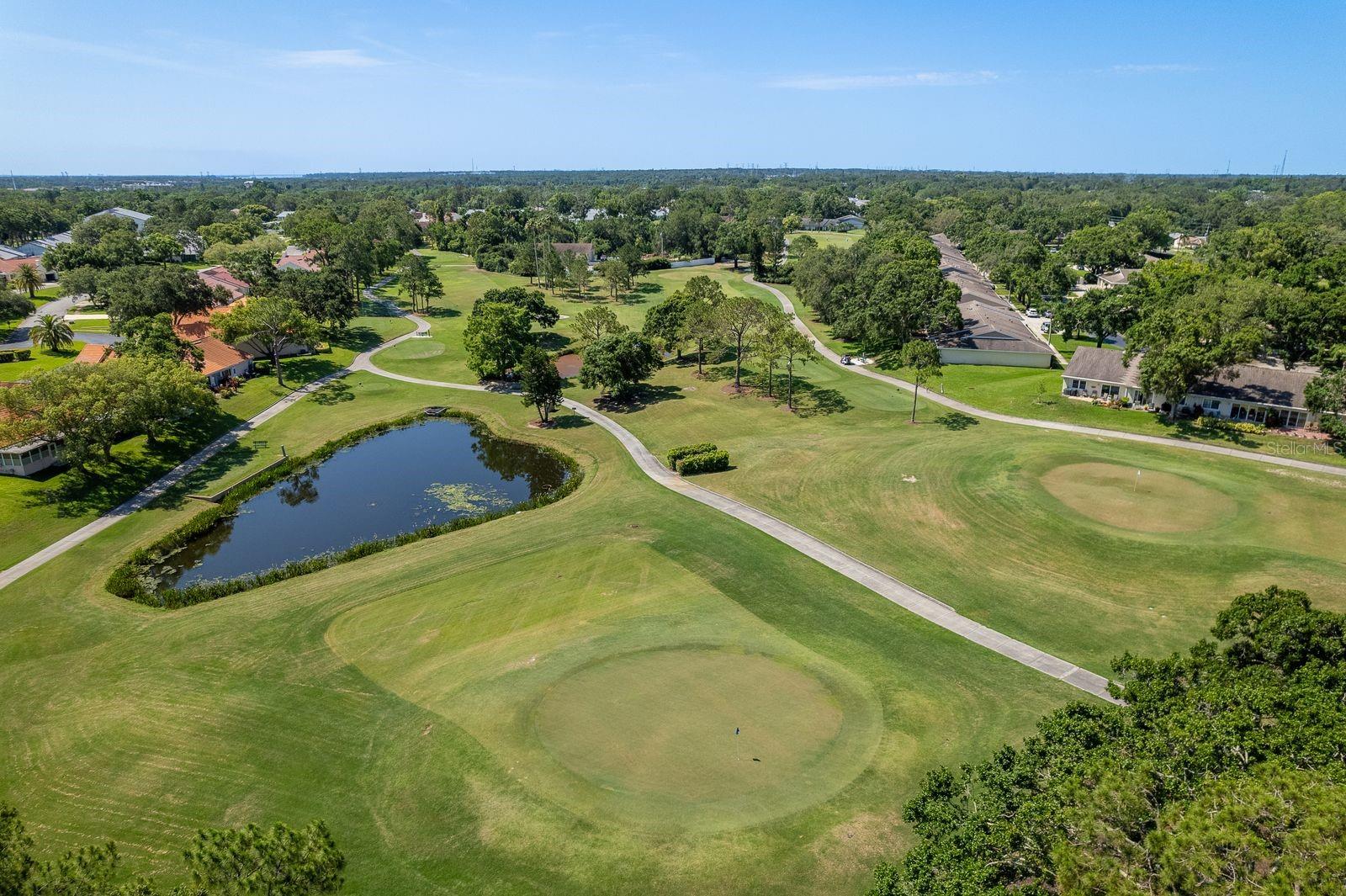 3127 MISSION GROVE DR #3127, PALM HARBOR, FL — photo 49