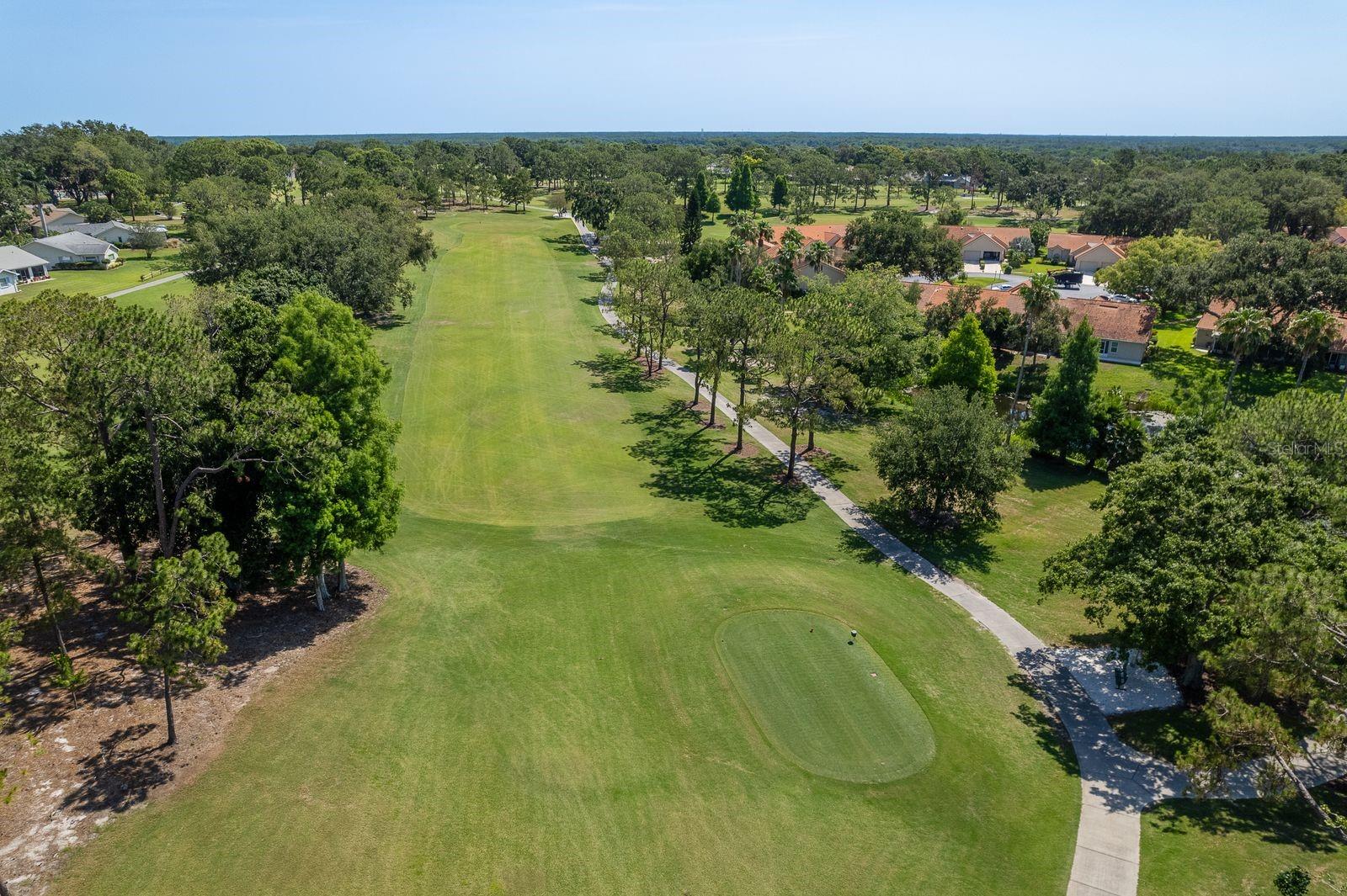 3127 MISSION GROVE DR #3127, PALM HARBOR, FL — photo 50