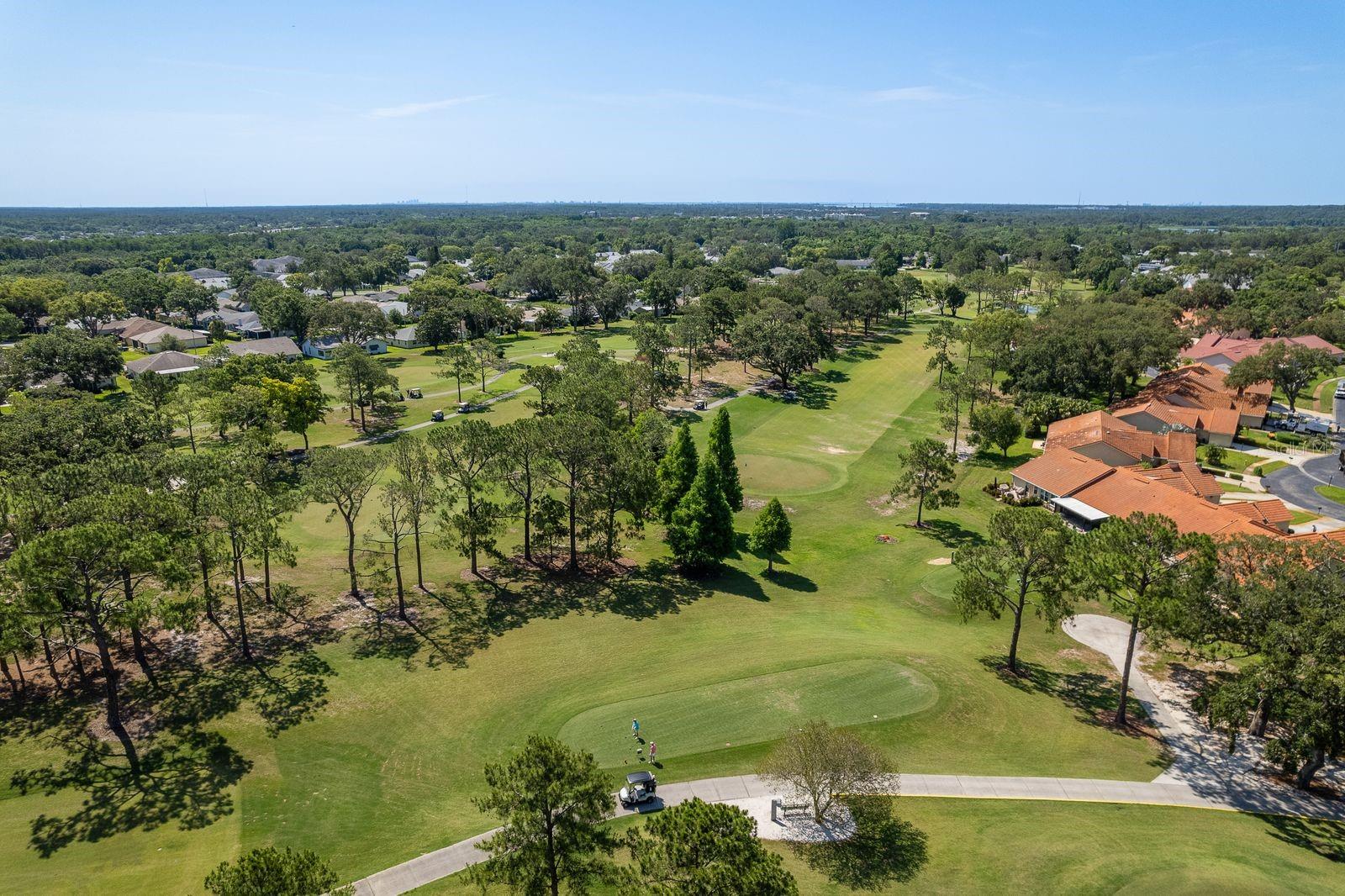 3127 MISSION GROVE DR #3127, PALM HARBOR, FL — photo 51