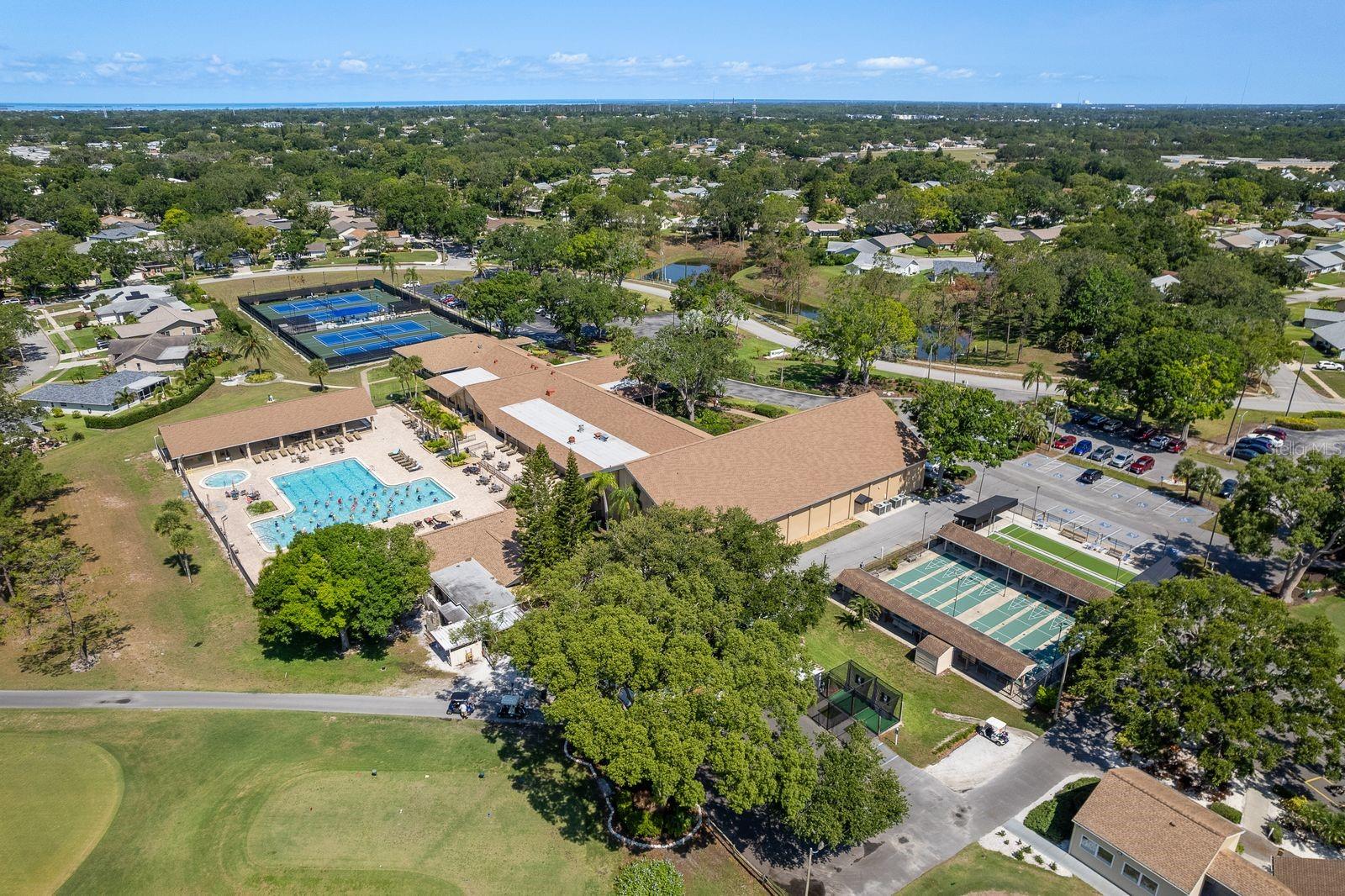 3127 MISSION GROVE DR #3127, PALM HARBOR, FL — photo 53