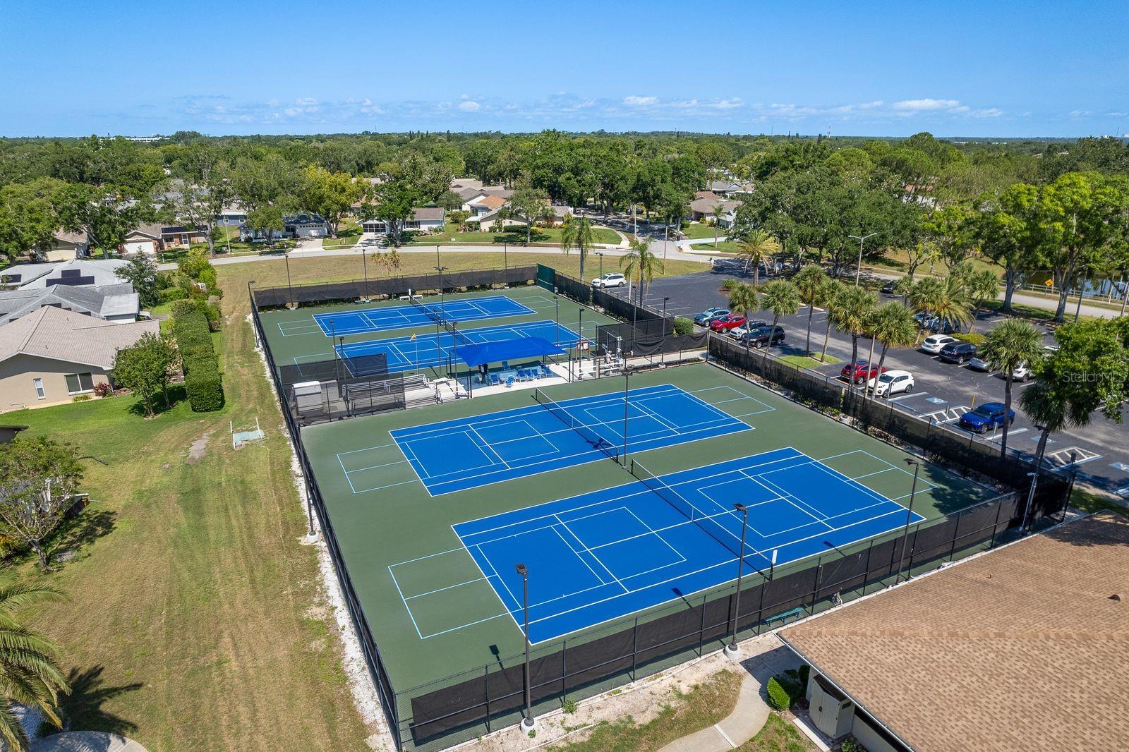 3127 MISSION GROVE DR #3127, PALM HARBOR, FL — photo 54