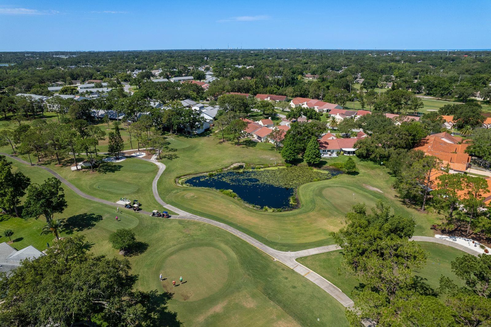 3127 MISSION GROVE DR #3127, PALM HARBOR, FL — photo 57