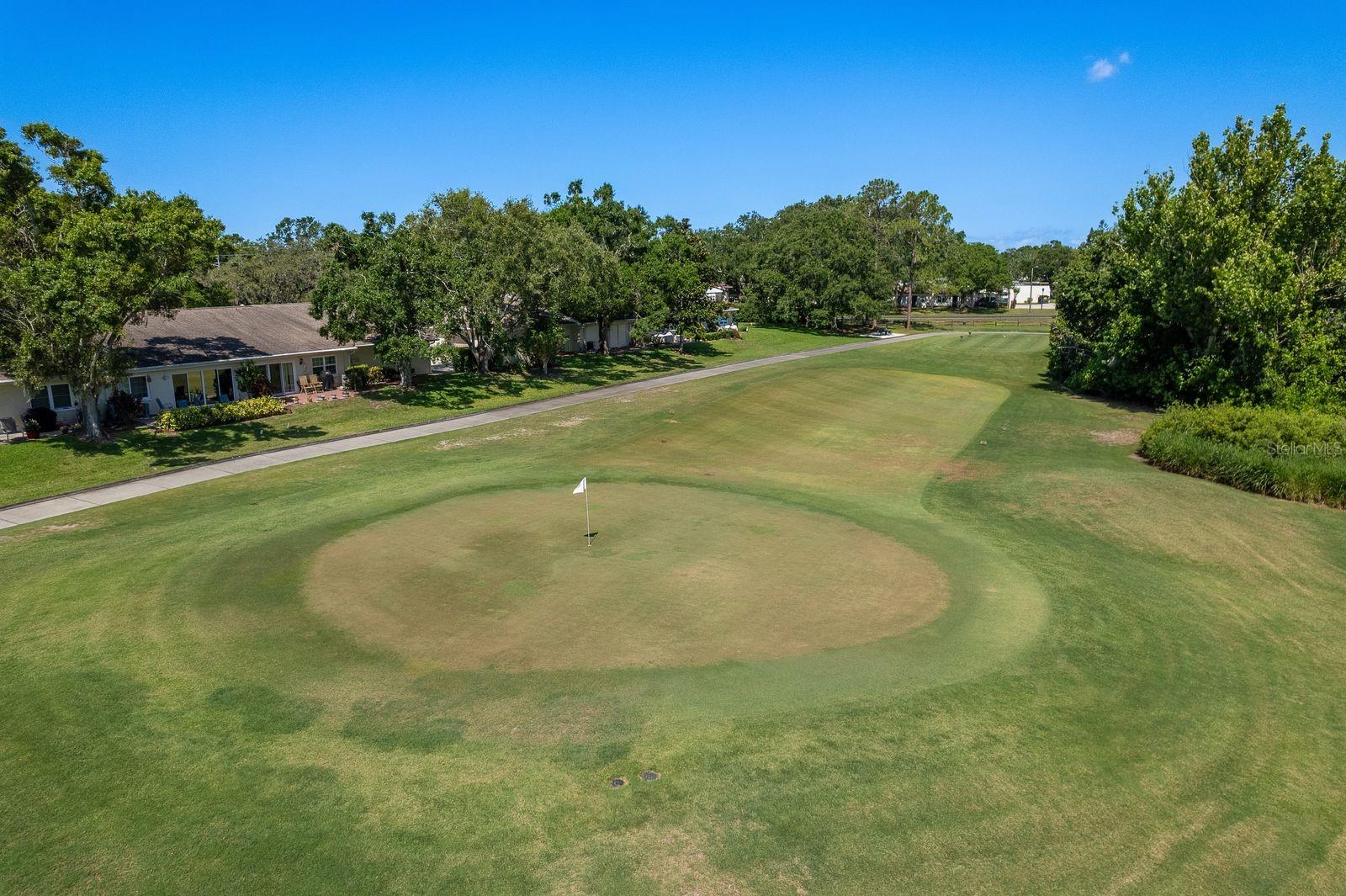3127 MISSION GROVE DR #3127, PALM HARBOR, FL — photo 58