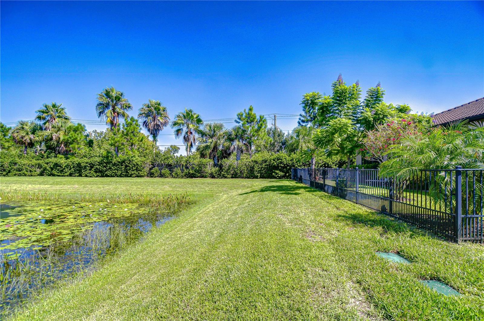 15303 VALENCIA DEL SOL ST, WIMAUMA, FL — photo 42
