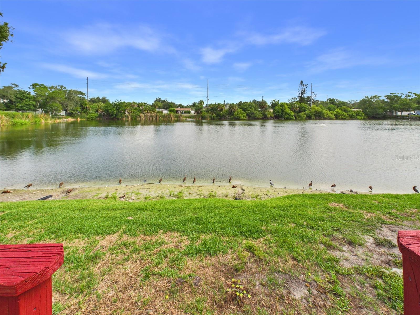 3357 W WYOMING CIR #3-5, TAMPA, FL — photo 8