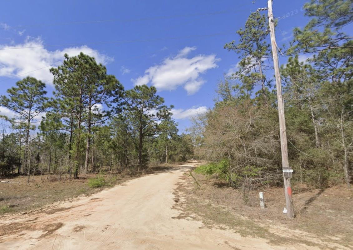ROYAL WAY, INTERLACHEN, FL — photo 2