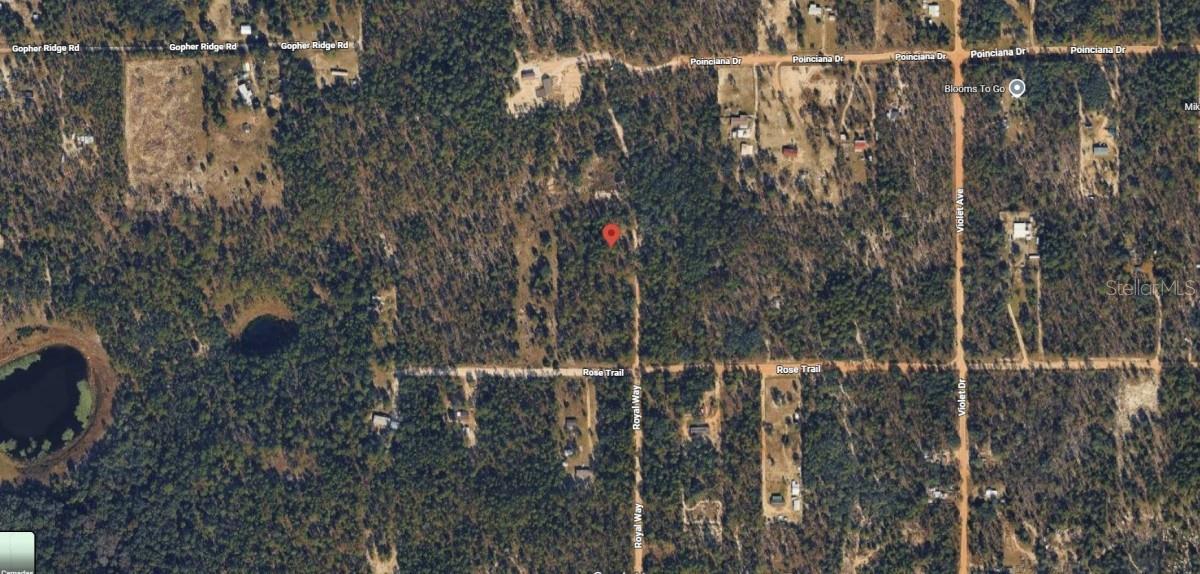 ROYAL WAY, INTERLACHEN, FL — photo 4