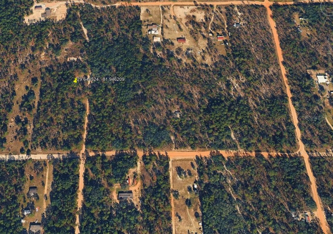 ROYAL WAY, INTERLACHEN, FL — photo 5