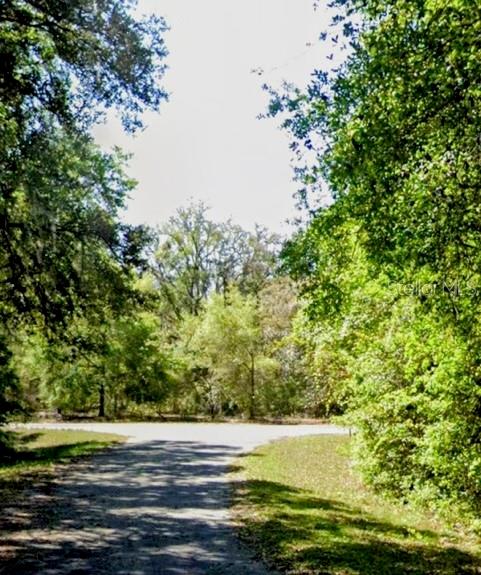 SEQUOIA DR #Lot 5, OCKLAWAHA, FL — photo 3