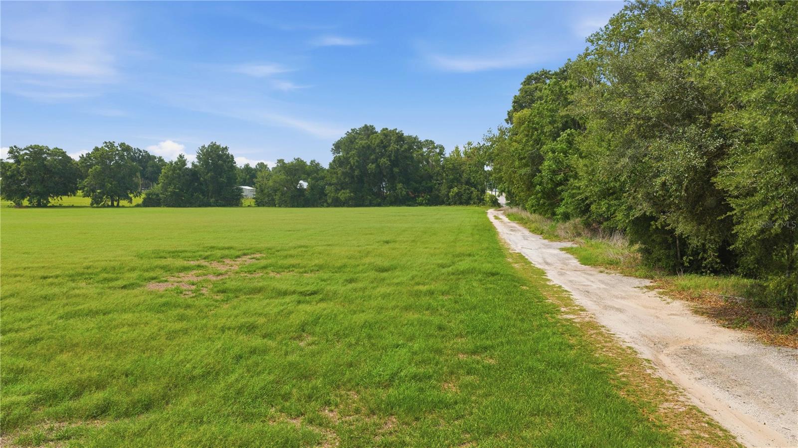 106TH PL, BELLEVIEW, FL — photo 12