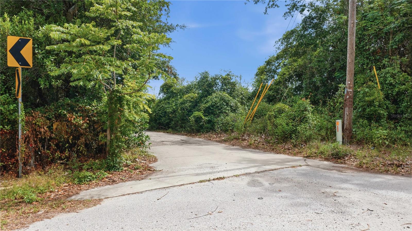 106TH PL, BELLEVIEW, FL — photo 13