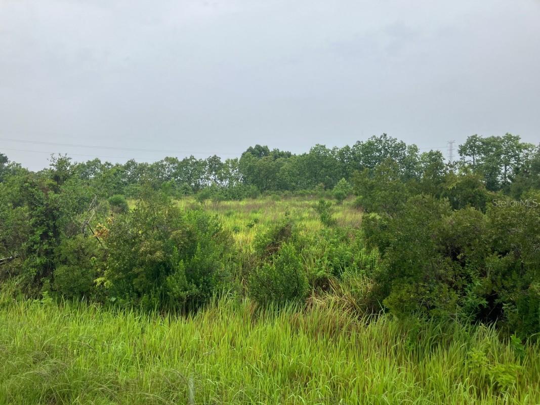 760 S WARFIELD RD, AVON PARK, FL — photo 5