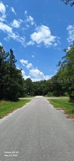 Lot 15 FICHER LN, OCKLAWAHA, FL — photo 2