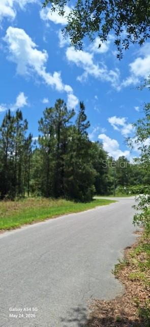 Lot 15 FICHER LN, OCKLAWAHA, FL — photo 3