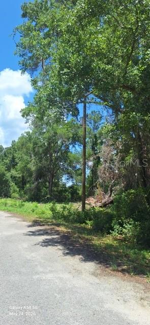 Lot 15 FICHER LN, OCKLAWAHA, FL — photo 5