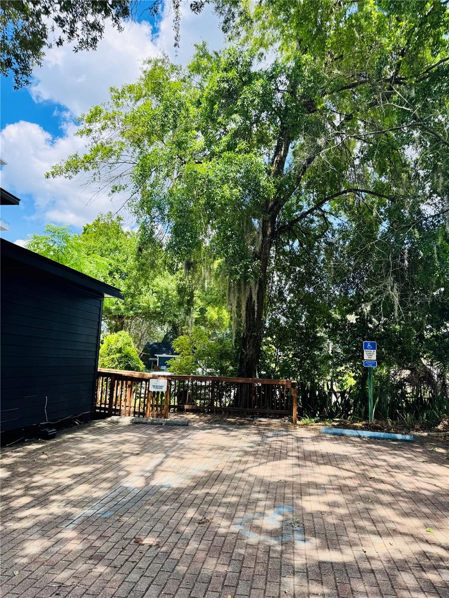 516 E JACKSON ST, ORLANDO, FL — photo 23