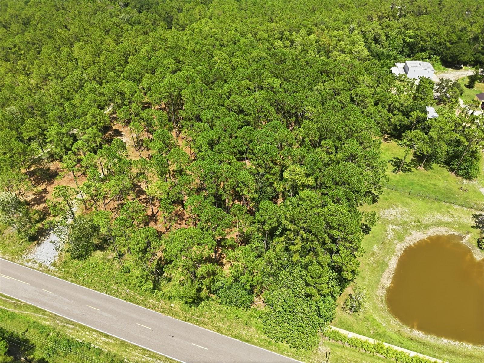 0 ALTAMONT LN, ODESSA, FL — photo 13