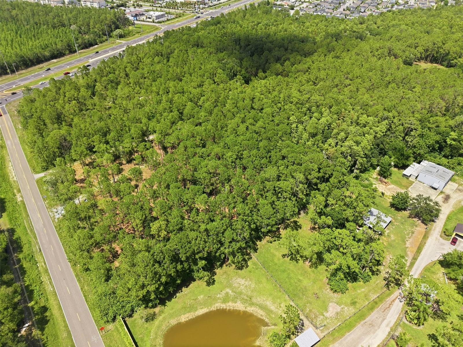0 ALTAMONT LN, ODESSA, FL — photo 20