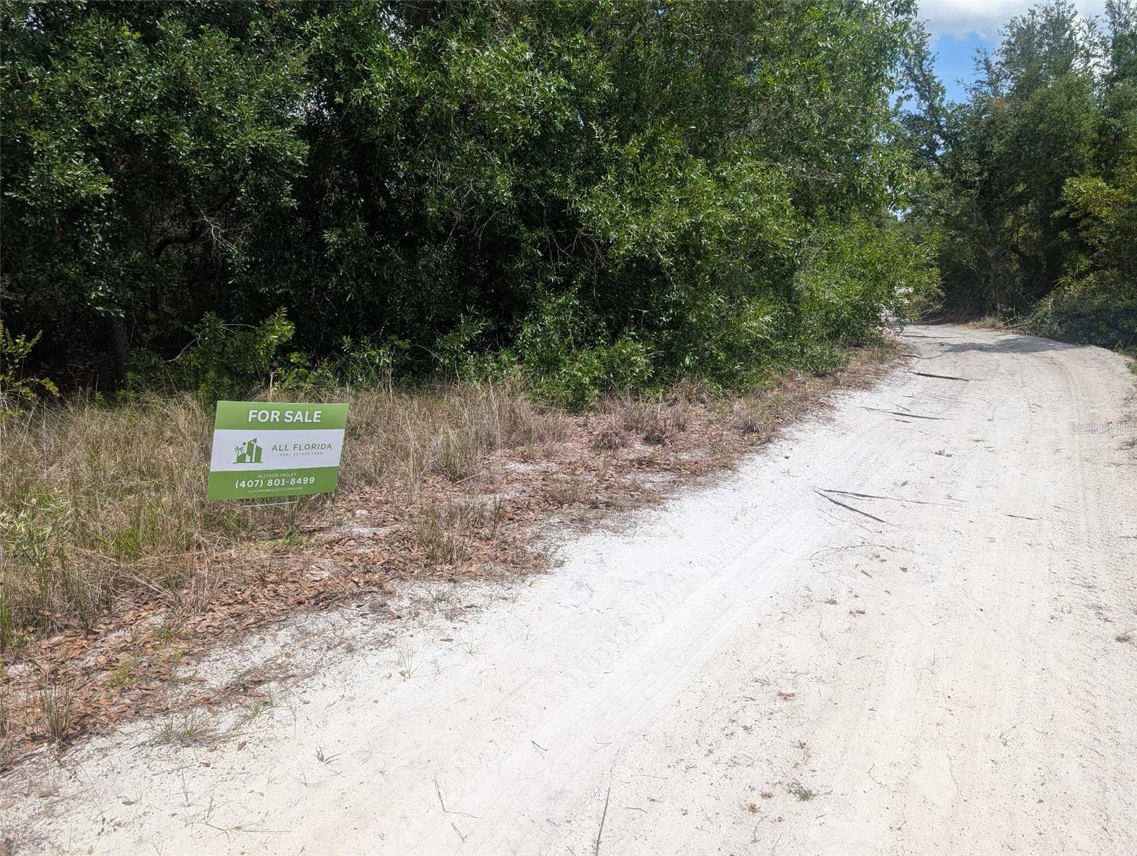 2345 DIPLOMAT DR, PUNTA GORDA, FL — photo 4