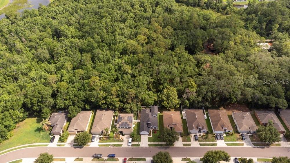 6249 TWIN BRIDGES DR, ZEPHYRHILLS, FL — photo 5