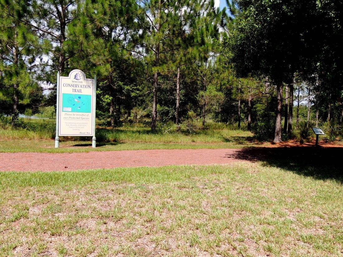12716 SE 91ST TERRACE RD, SUMMERFIELD, FL — photo 63