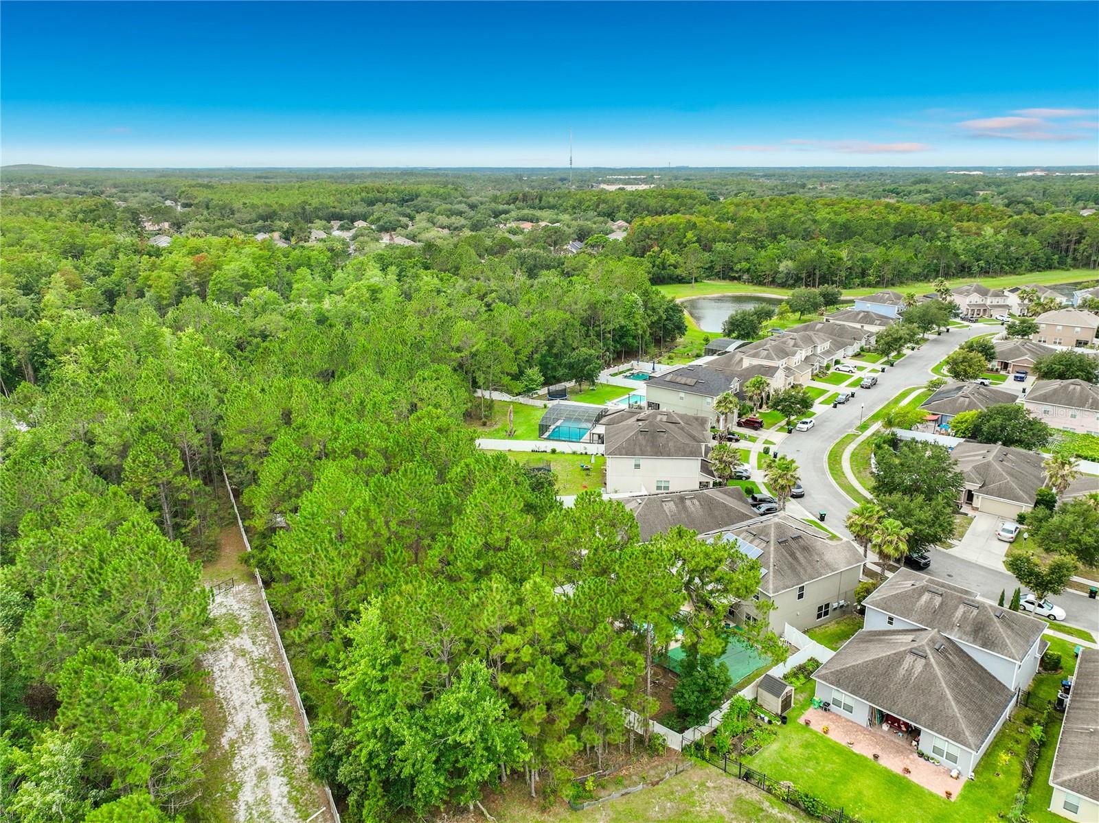 10672 CABBAGE TREE LOOP, ORLANDO, FL — photo 83