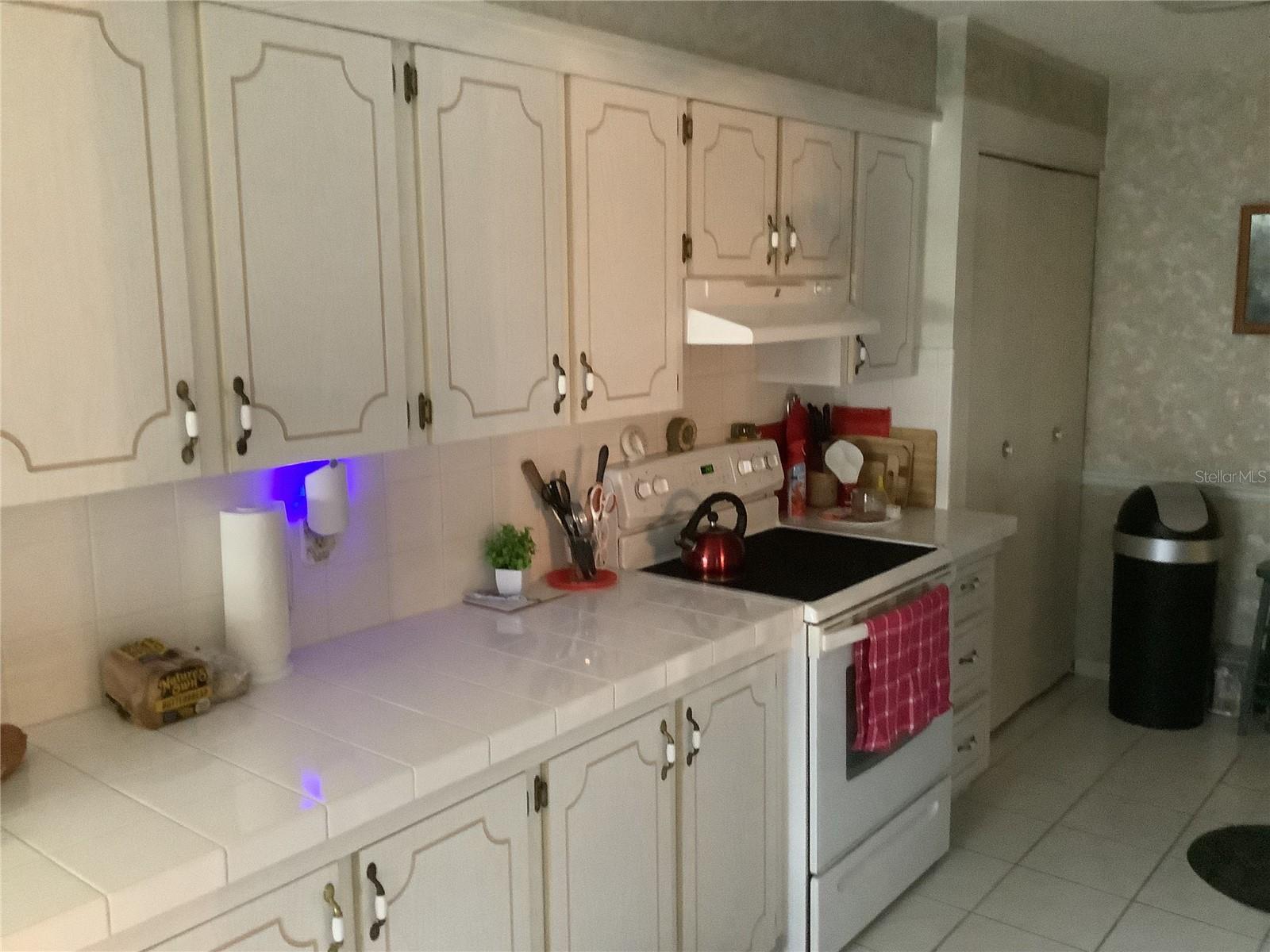 31226 PARK RIDGE DR, BROOKSVILLE, FL — photo 10