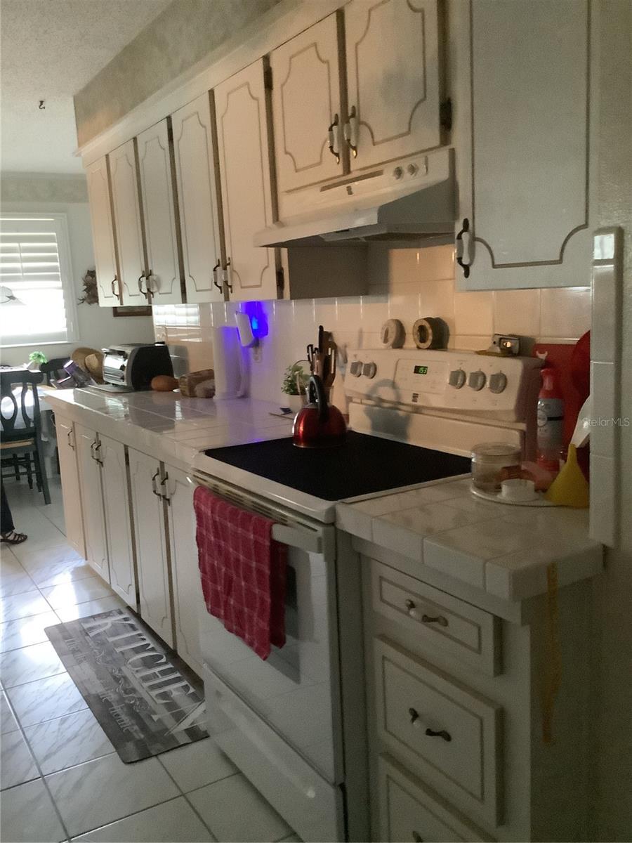 31226 PARK RIDGE DR, BROOKSVILLE, FL — photo 29