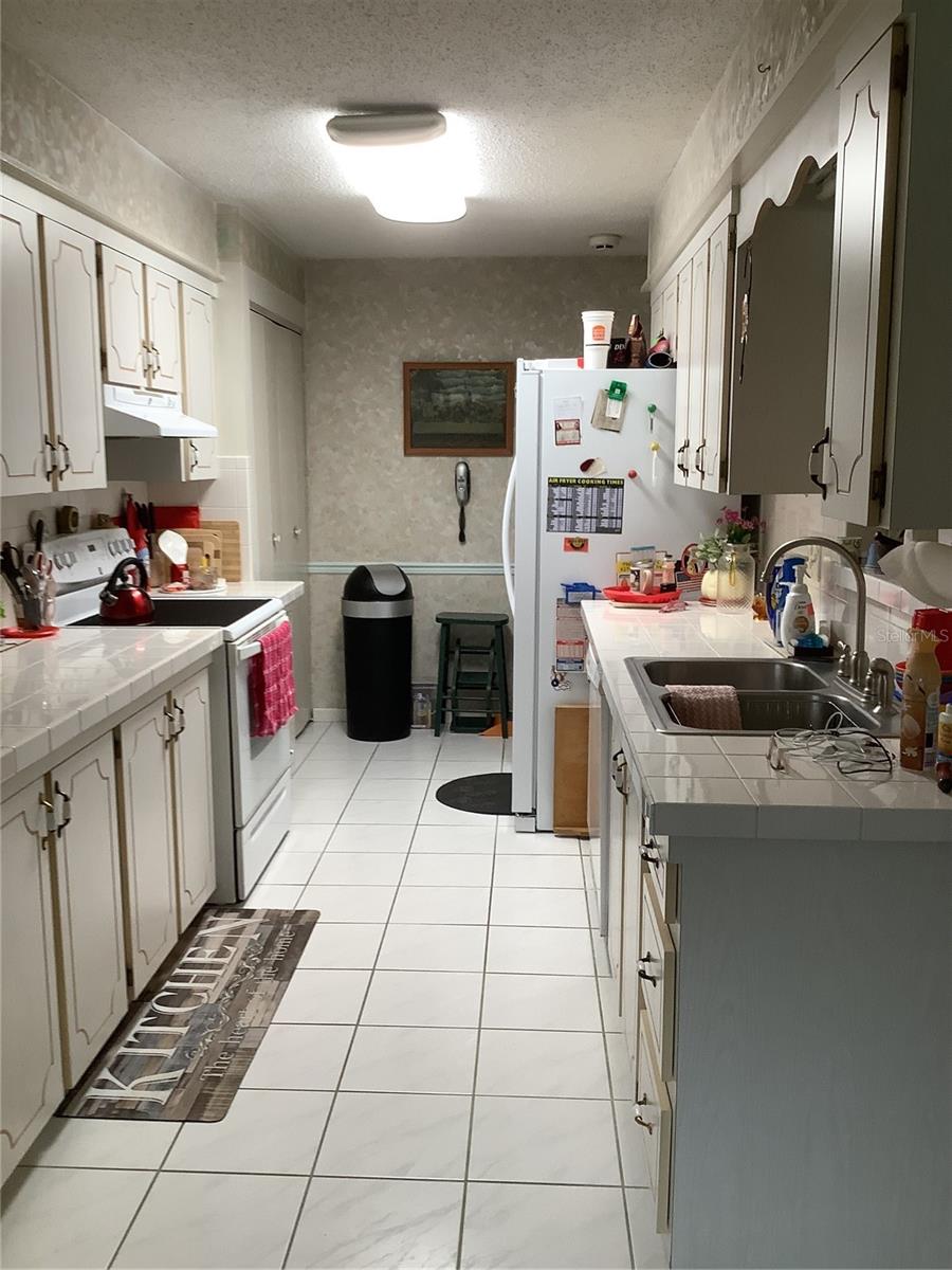 31226 PARK RIDGE DR, BROOKSVILLE, FL — photo 32