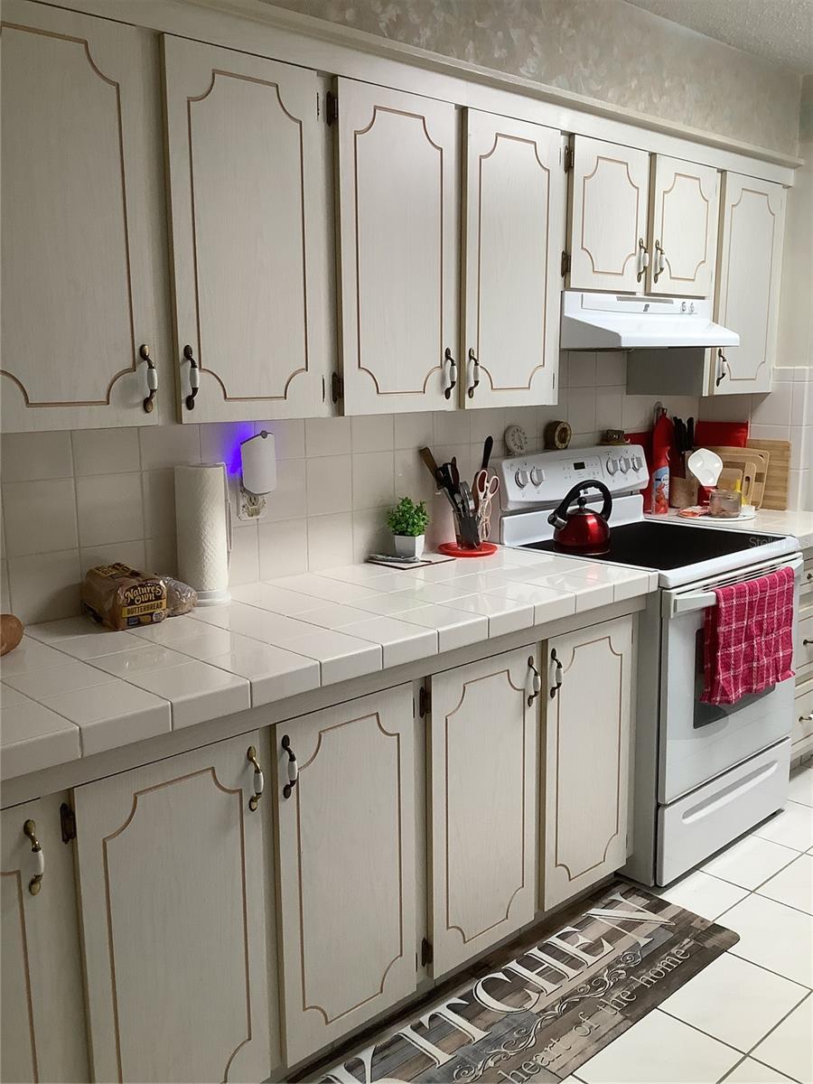 31226 PARK RIDGE DR, BROOKSVILLE, FL — photo 33