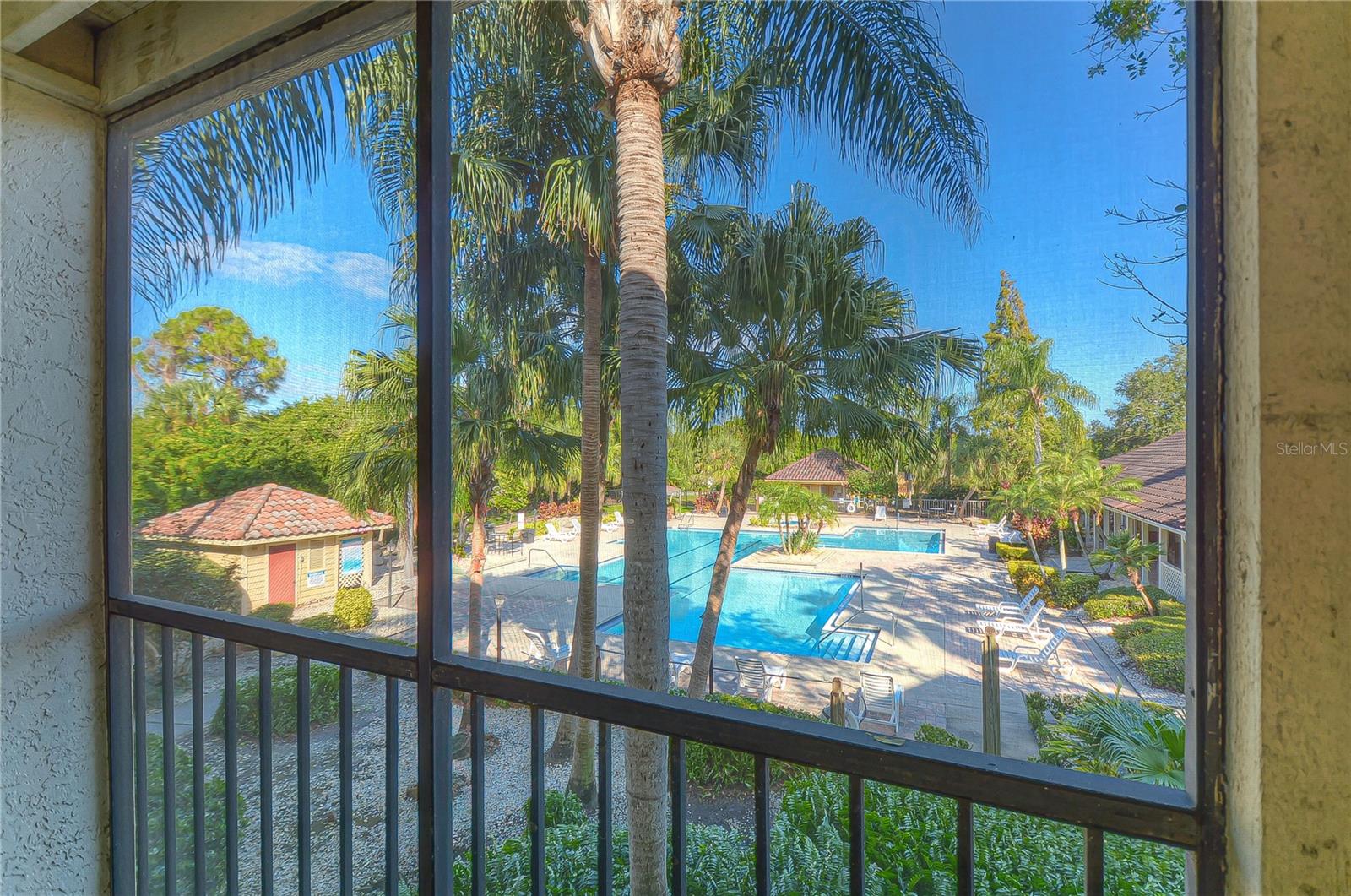 11901 4TH ST N #4206, ST PETERSBURG, FL — photo 25