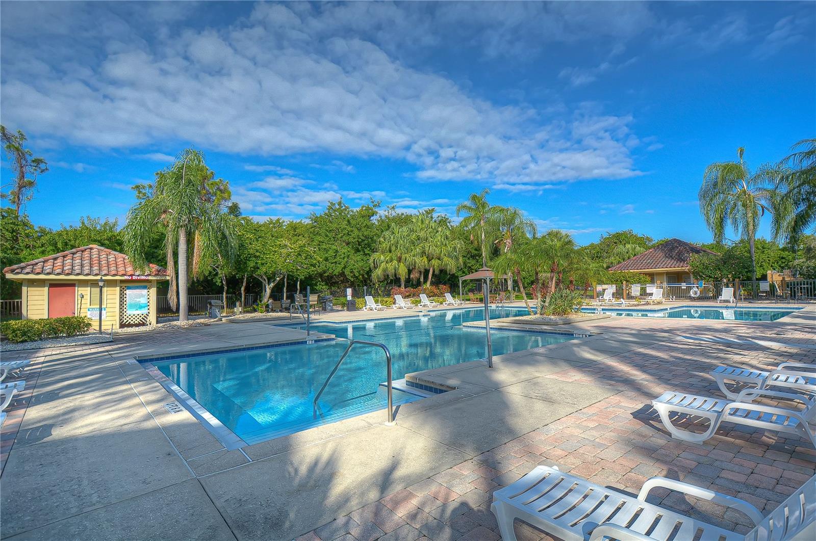 11901 4TH ST N #4206, ST PETERSBURG, FL — photo 26
