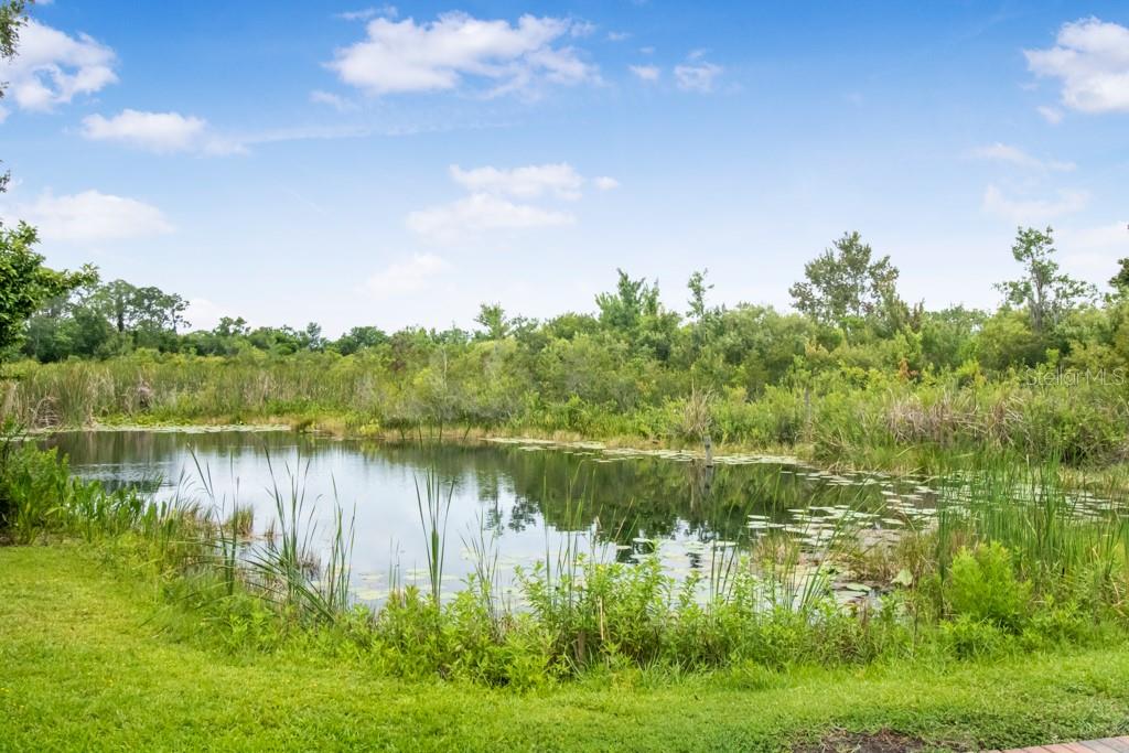 6820 AMANDA VISTA CIR, LAND O LAKES, FL — photo 22