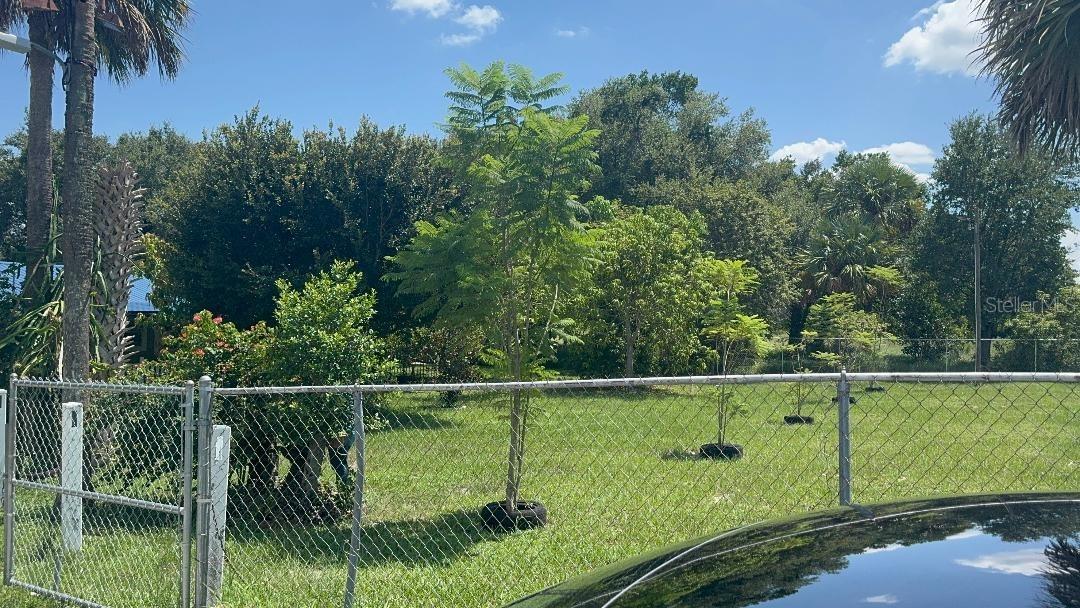 812 US HIGHWAY 17 92 S, DAVENPORT, FL — photo 7