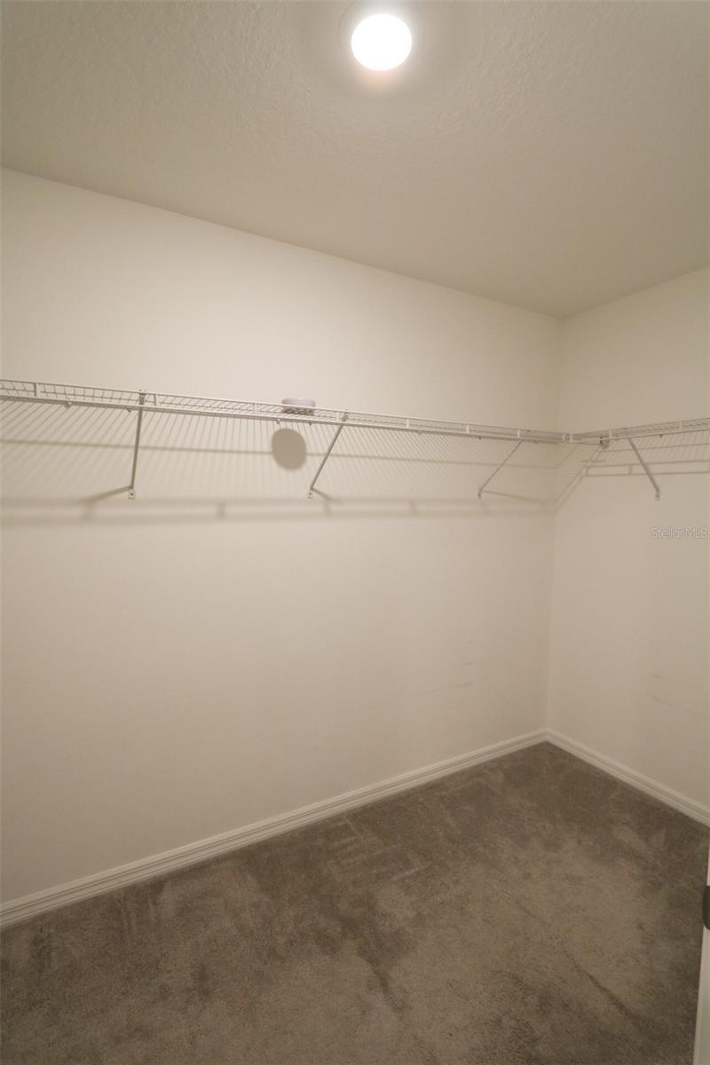 3715 DAISY BLOOM PL, TAMPA, FL — photo 12
