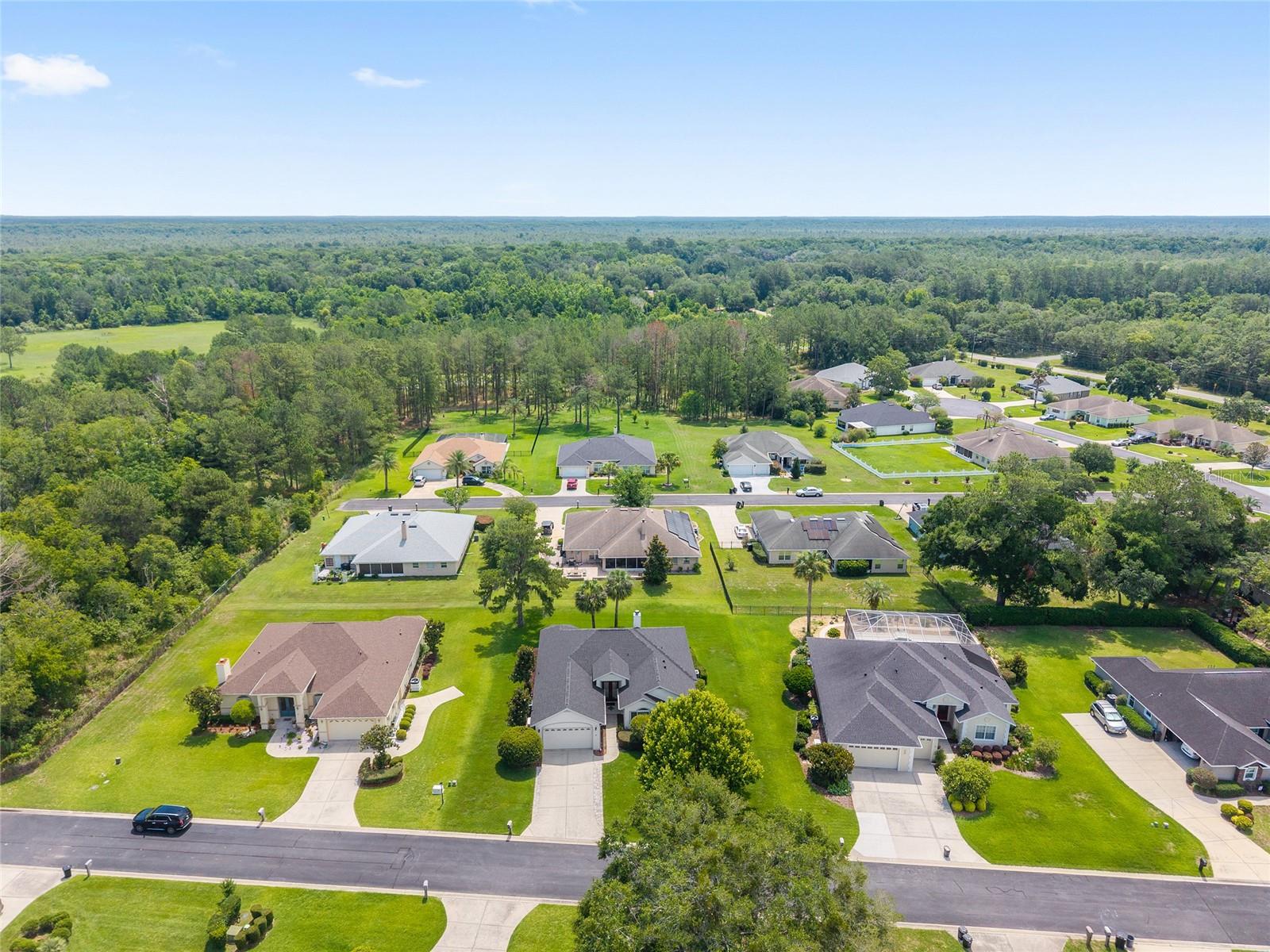 19 GREENWAY PLANTATION, OCALA, FL — photo 69