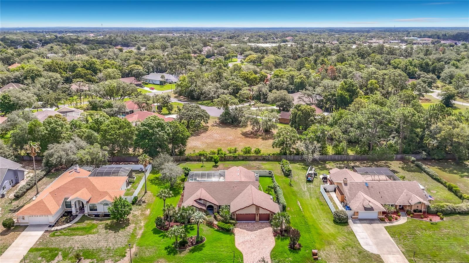 4306 RIVER BIRCH DR, SPRING HILL, FL — photo 6