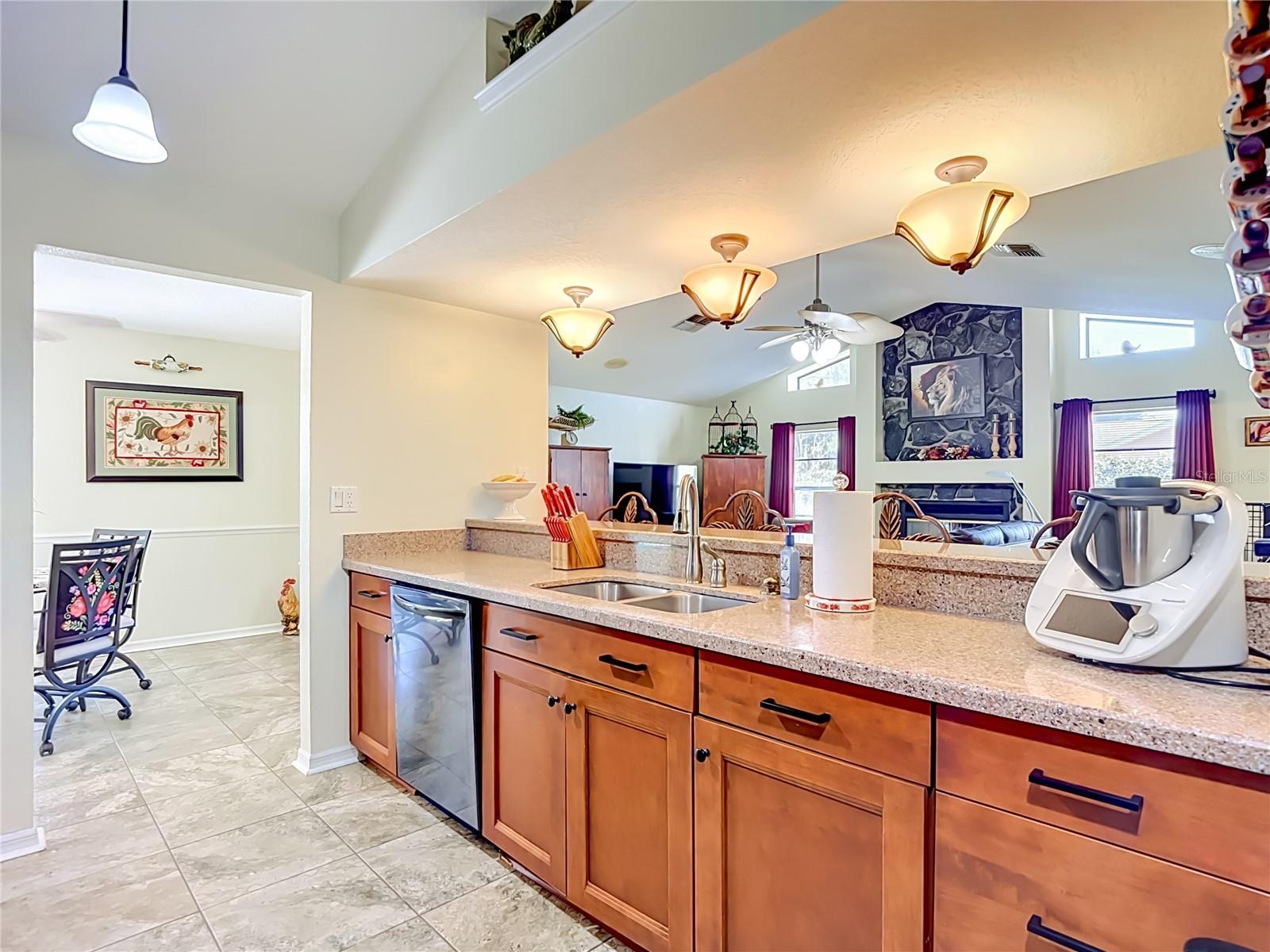 4306 RIVER BIRCH DR, SPRING HILL, FL — photo 16