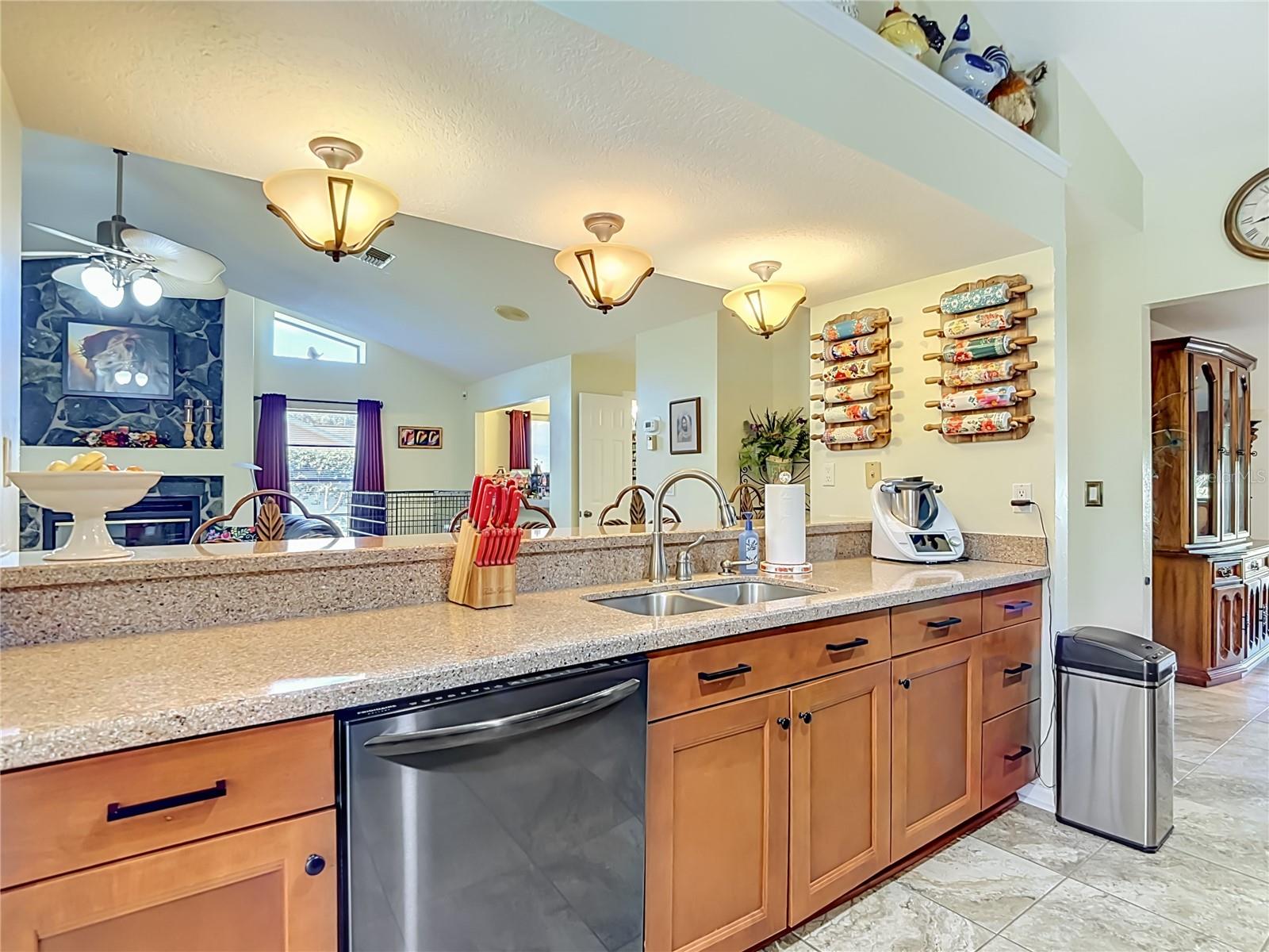 4306 RIVER BIRCH DR, SPRING HILL, FL — photo 19