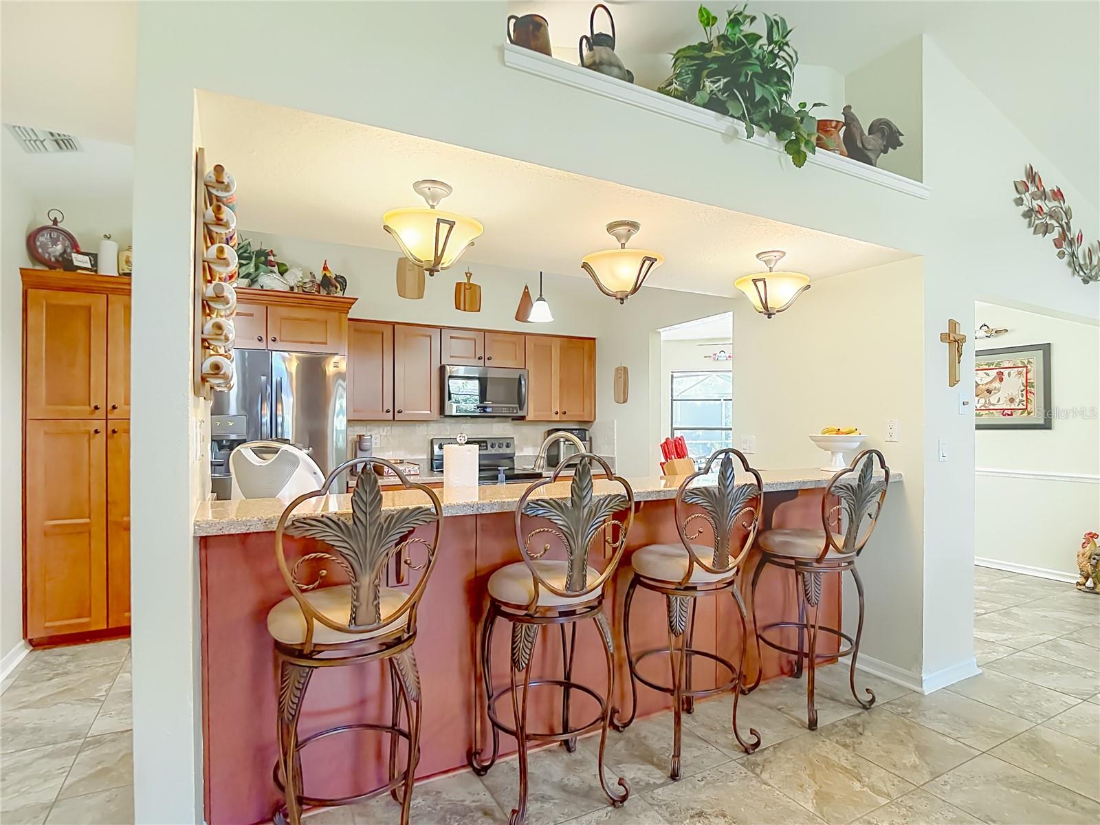 4306 RIVER BIRCH DR, SPRING HILL, FL — photo 22