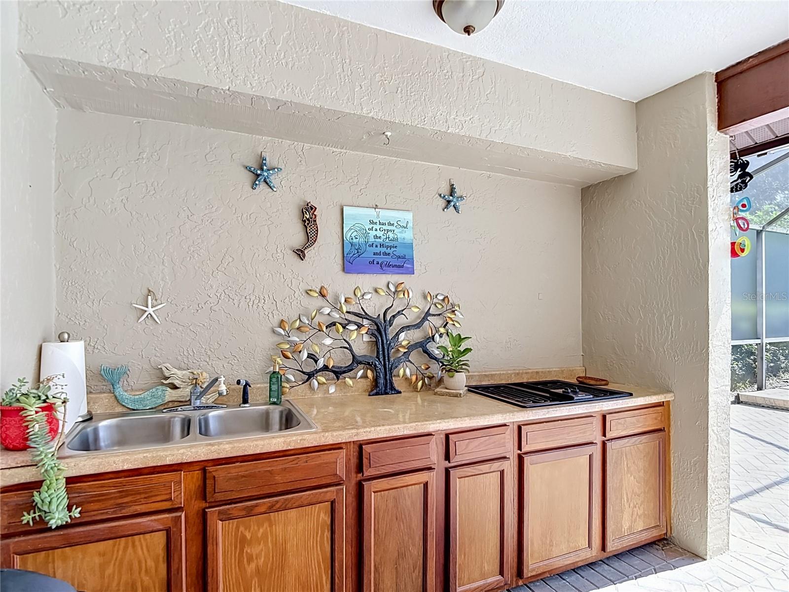 4306 RIVER BIRCH DR, SPRING HILL, FL — photo 69