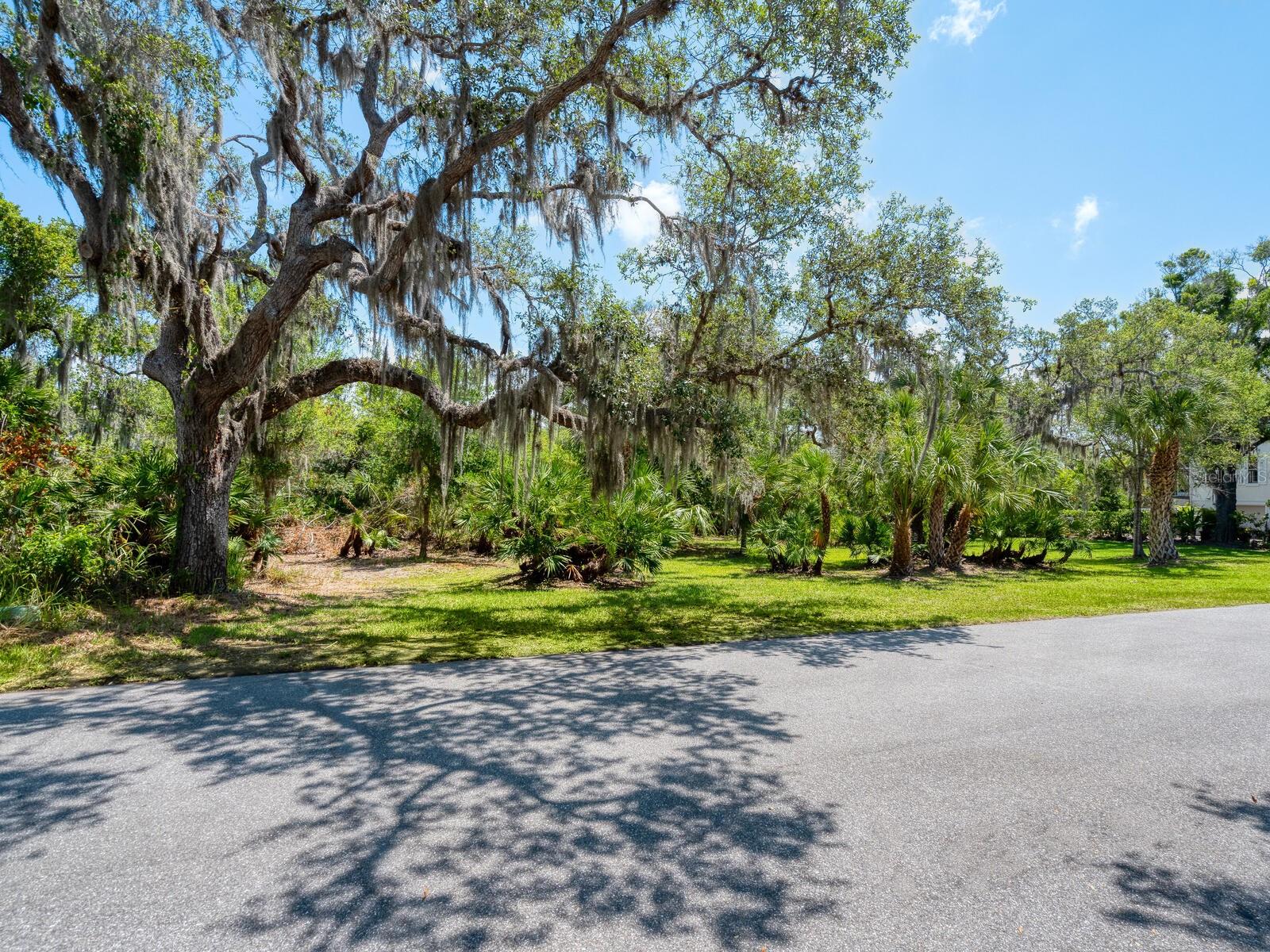 216 OSPREY POINT DR, OSPREY, FL — photo 3