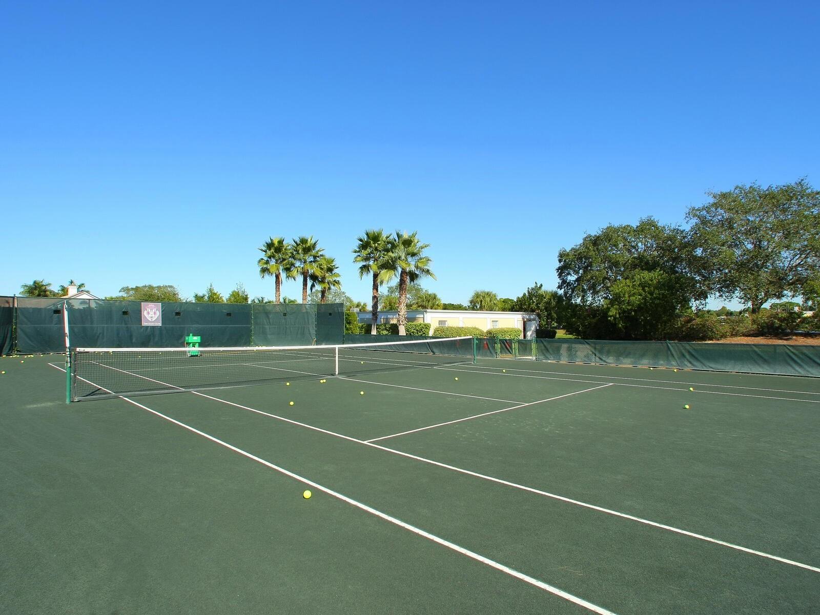 216 OSPREY POINT DR, OSPREY, FL — photo 20