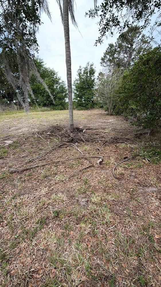 1370 SE 20TH TER, SUMTERVILLE, FL — photo 5