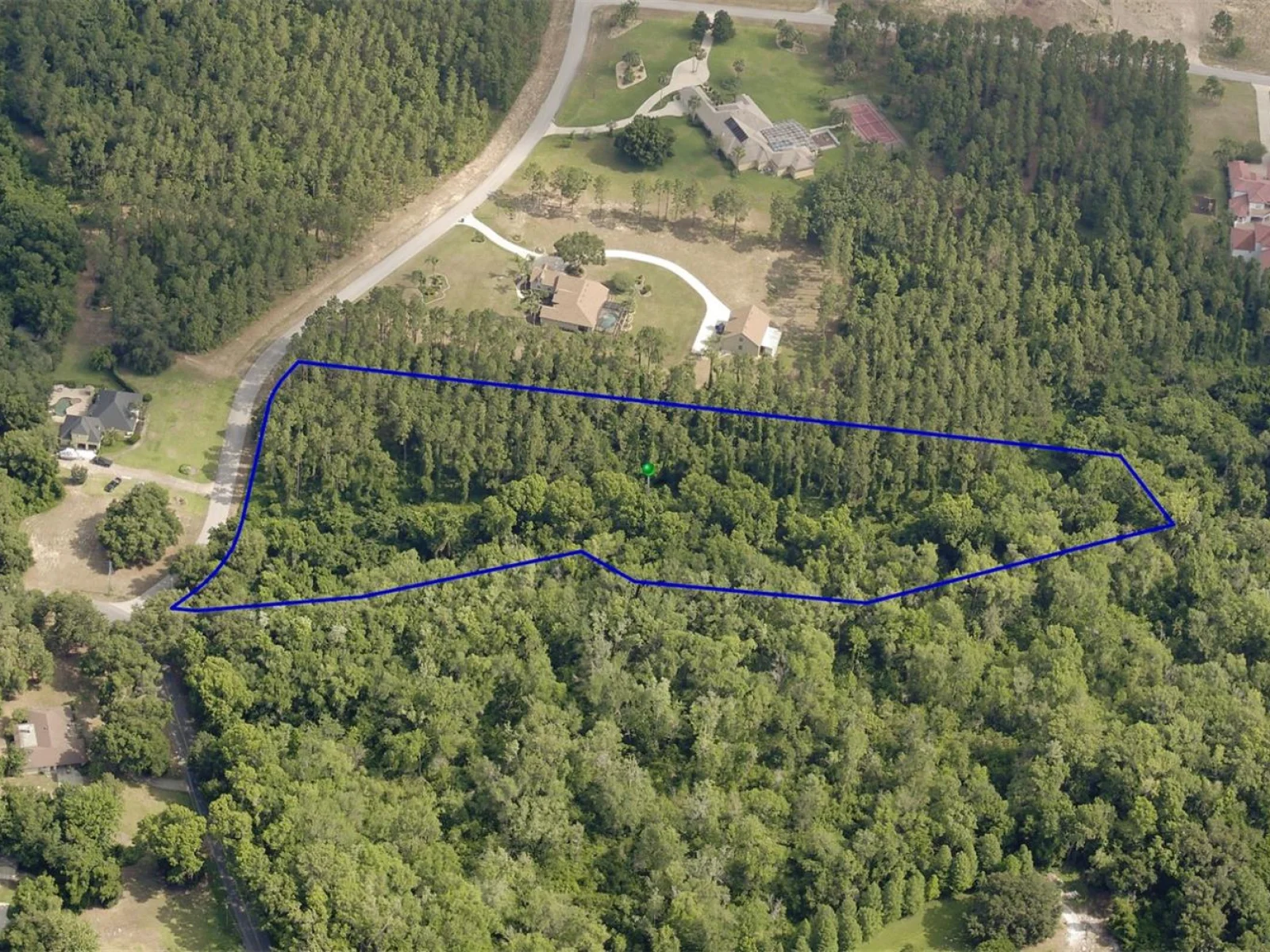 31004 SECRETARIAT TRL, LEESBURG, FL — photo 1