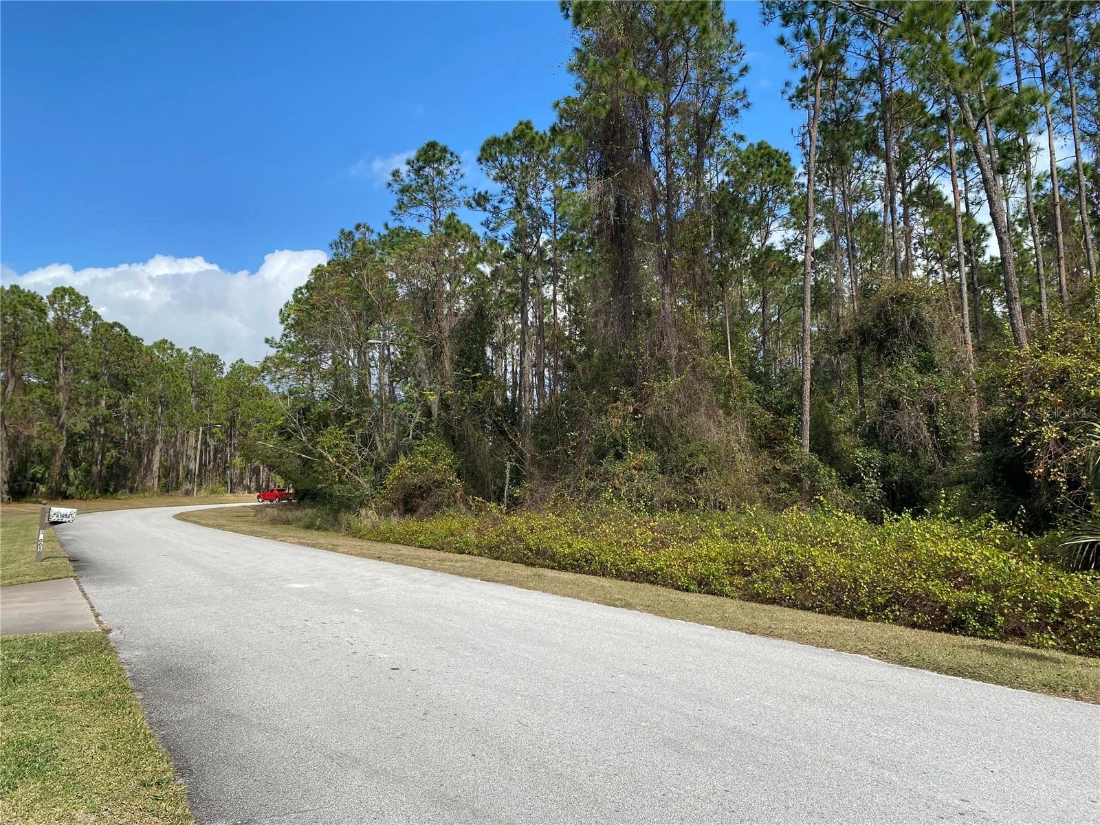 31004 SECRETARIAT TRL, LEESBURG, FL — photo 2