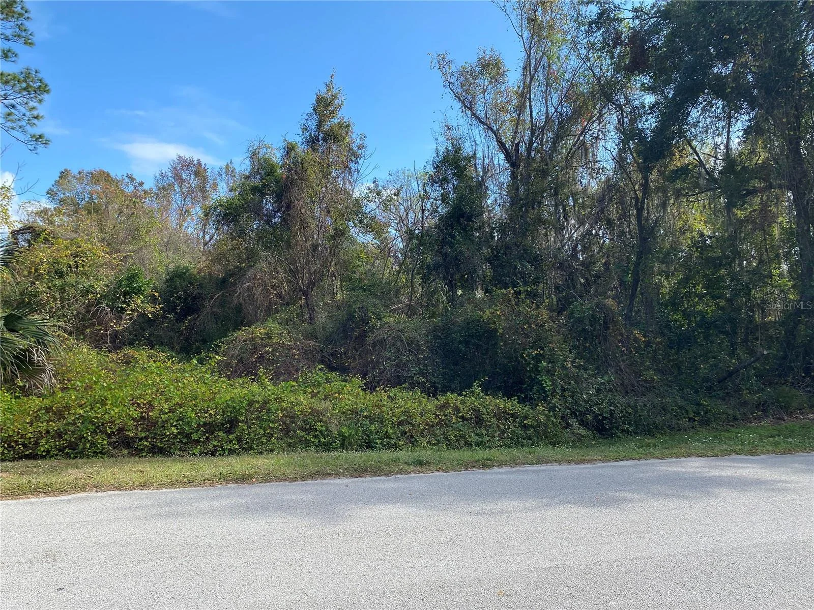31004 SECRETARIAT TRL, LEESBURG, FL — photo 3